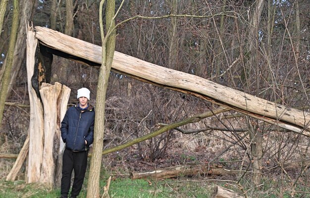 Od kiedy obowiązuje nowa ustawa o wycince drzew?