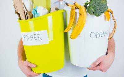 Jak powstają ekologiczne produkty – fascynujący film dokumentalny