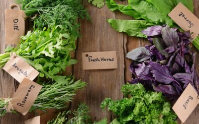 Produkty bio – czy warto po nie sięgać?