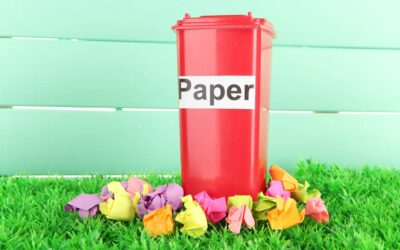 Jaki jest kolor pojemnika do którego wrzucamy papier?